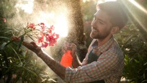 زراعة الزهور والورود والاشجار المستديمة والموسمية والنخيل - جاردينيو لتنسيق الحدائق لتنسيق الحدائق في السعودية