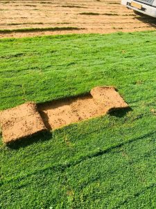 صيانه الحدائق المنزليه والعامه بالشهر - ابداع الطبيعة لتنسيق الحدائق 0565846550