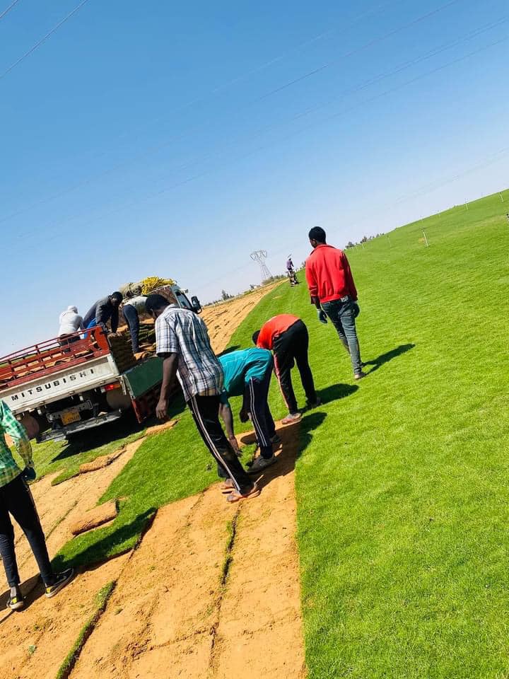 تركيب عشب طبيعي في الرياض: الدليل الشامل لاختيار الأفضل