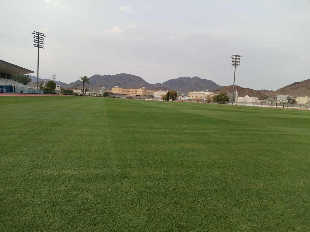 أسعار العشب الطبيعي بالرياض