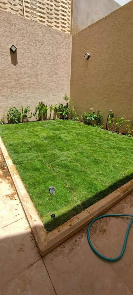 زراعة أشجار بالرياض