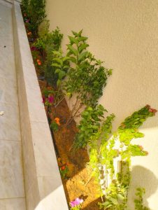 محلات تنسيق حدائق بالرياض